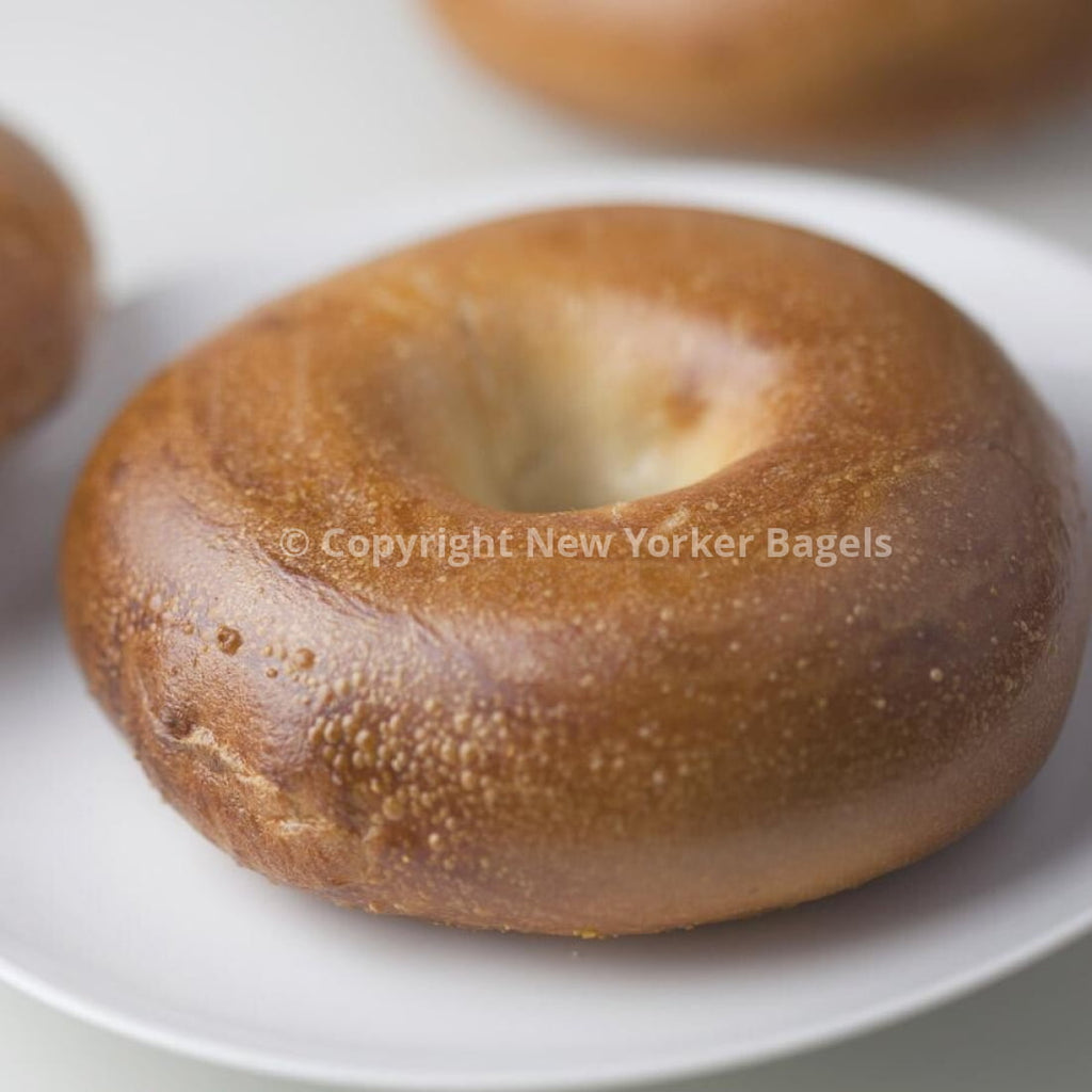 new york plain bagel